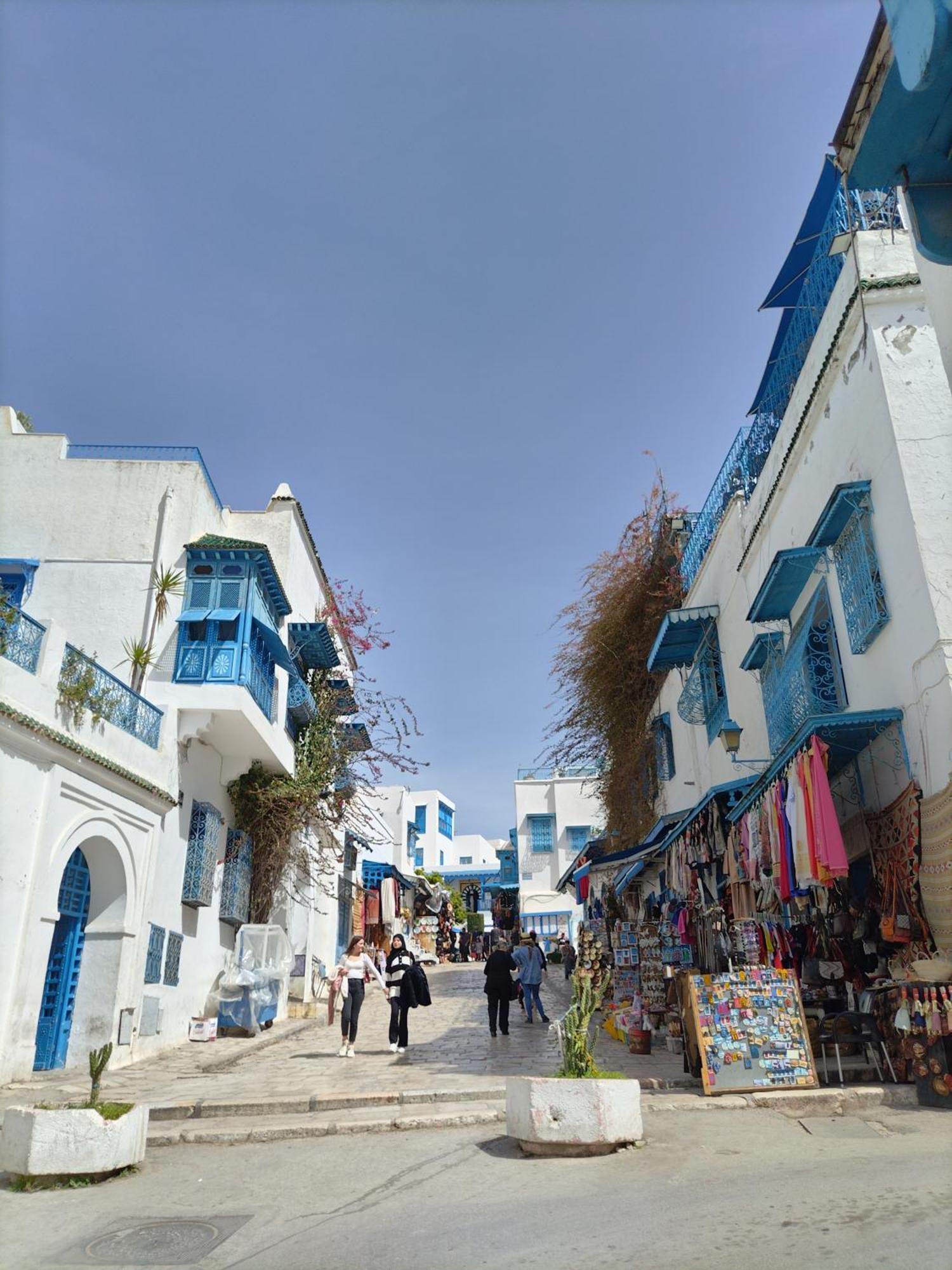 Marsa - Sidi Bousaid Lovely Authentic La Marsa